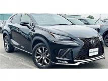 2019 Lexus NX