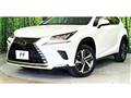 2019 Lexus NX