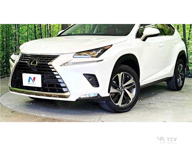 2019 Lexus NX