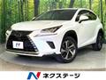 2019 Lexus NX