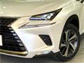 2019 Lexus NX