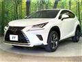 2019 Lexus NX