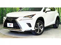 2019 Lexus NX