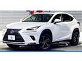2019 Lexus NX