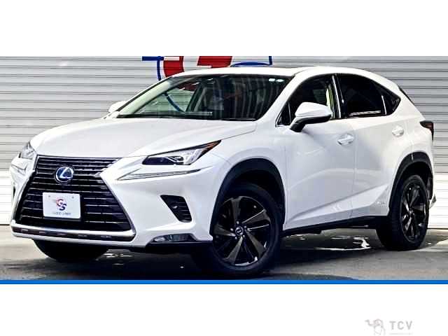 2019 Lexus NX