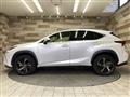 2019 Lexus NX