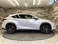 2019 Lexus NX