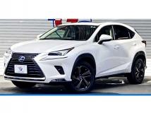 2019 Lexus NX
