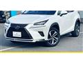 2019 Lexus NX