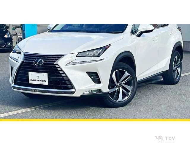 2019 Lexus NX