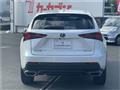 2019 Lexus NX