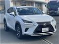 2019 Lexus NX