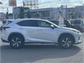2019 Lexus NX