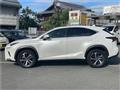 2019 Lexus NX