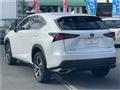 2019 Lexus NX