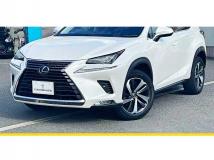 2019 Lexus NX