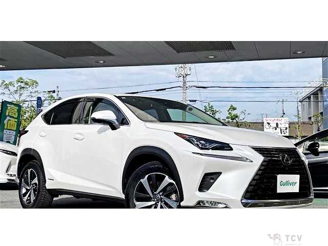 2019 Lexus NX