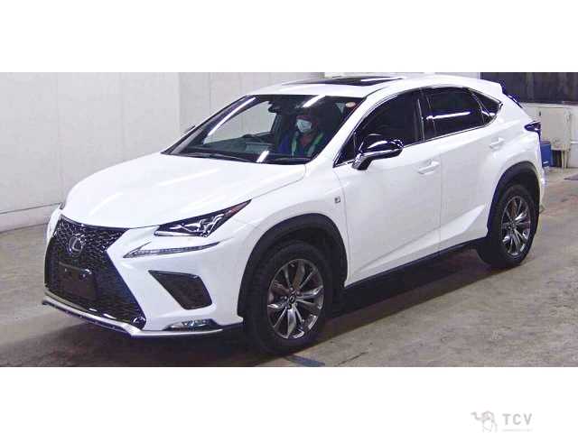 2019 Lexus NX