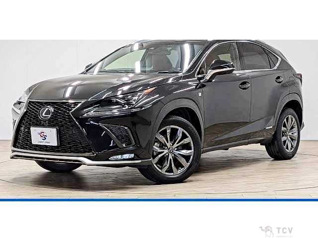 2019 Lexus NX