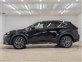 2019 Lexus NX