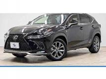 2019 Lexus NX