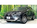 2019 Lexus NX
