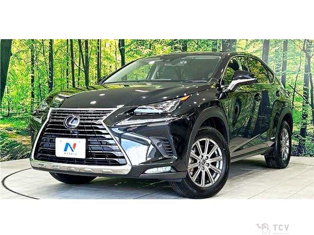 2019 Lexus NX
