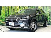 2019 Lexus NX