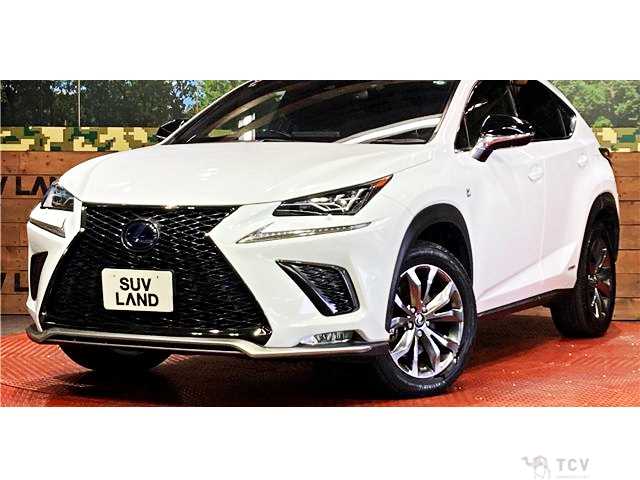 2019 Lexus NX
