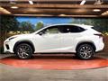 2019 Lexus NX