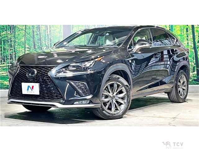 2019 Lexus NX