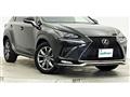 2019 Lexus NX