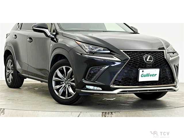 2019 Lexus NX
