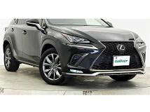 2019 Lexus NX