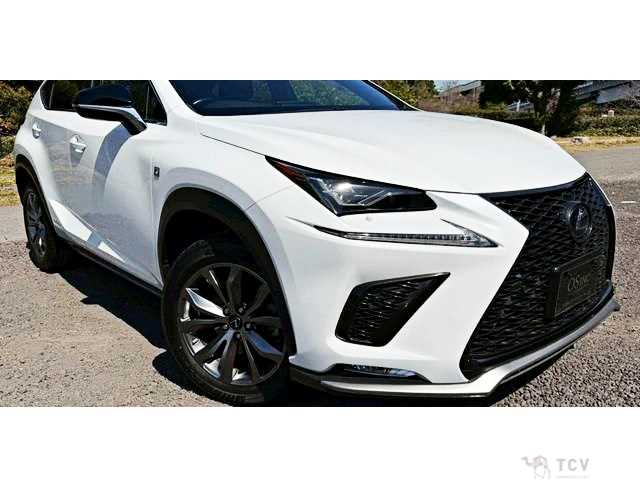 2019 Lexus NX