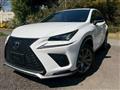 2019 Lexus NX
