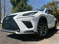 2019 Lexus NX