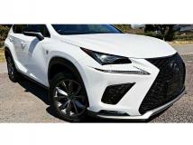 2019 Lexus NX