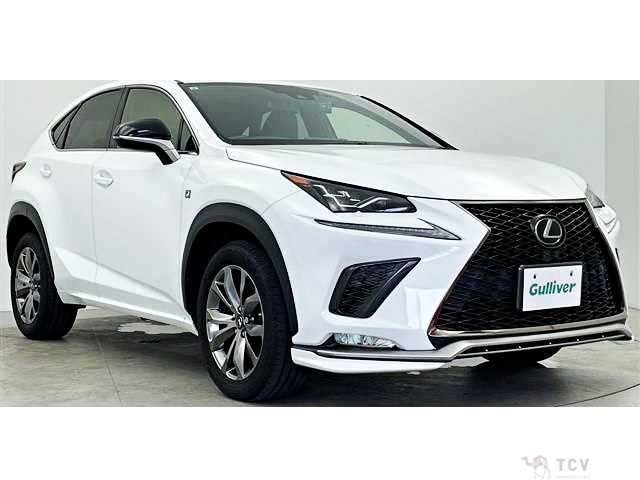2019 Lexus NX