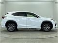 2019 Lexus NX
