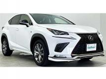 2019 Lexus NX