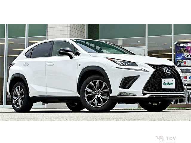 2019 Lexus NX