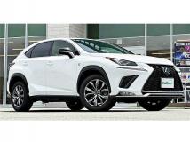 2019 Lexus NX