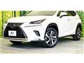2019 Lexus NX