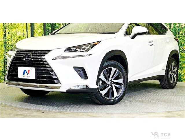 2019 Lexus NX