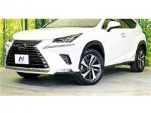 2019 Lexus NX