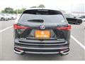 2019 Lexus NX