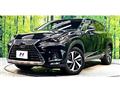 2019 Lexus NX