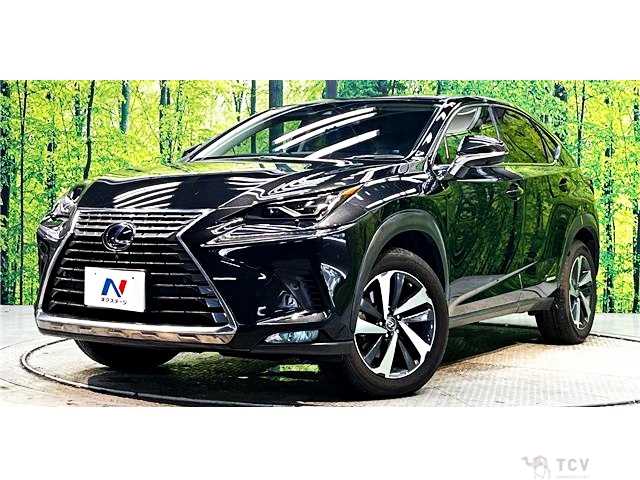 2019 Lexus NX