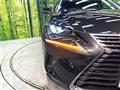 2019 Lexus NX